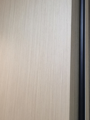 40（+3）DB soundproof environmentally friendly  Steel acoustic doors for recording room
