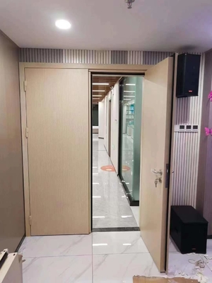Wholesale  40DB Steel Soundproof Door Fireproof Door Double Door
