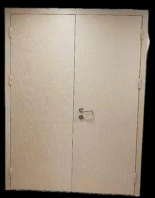 Wholesale  40DB Steel Soundproof Door Fireproof Door Double Door