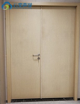School Multimedia Room Opera House Indoor Soundproof Entrance Security Steel Door